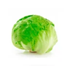 Lechuga Escarola
